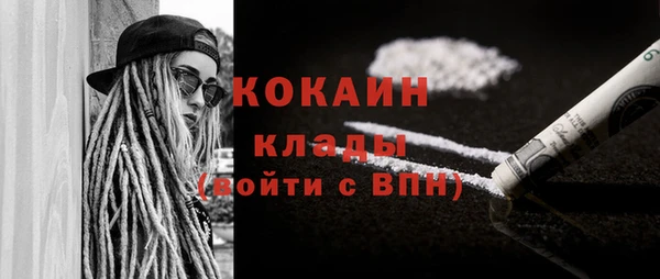 шишки Вяземский