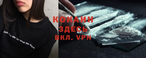 2c-b Пестово
