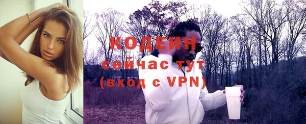 мдпв Верхний Тагил