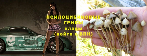 мдпв Верхний Тагил