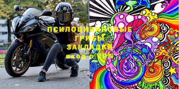 мдпв Верхний Тагил